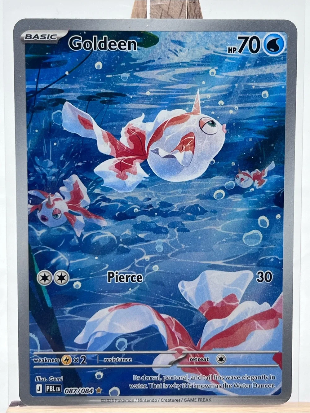 Goldeen Illustration Rare